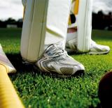 Cricket