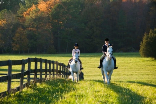 Equestrian