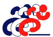 DSE Logo