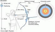 Try Archery