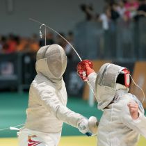 Fencing