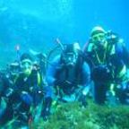 Find out more about Scuba & Snorkelling