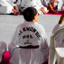 Taekwondo