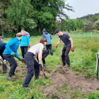 a group of adults digging outdoors