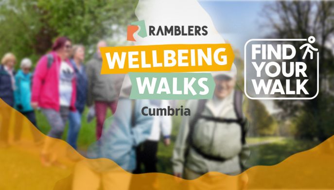 An image showing people walking with a logo of Ramblers Wellbeing Walks