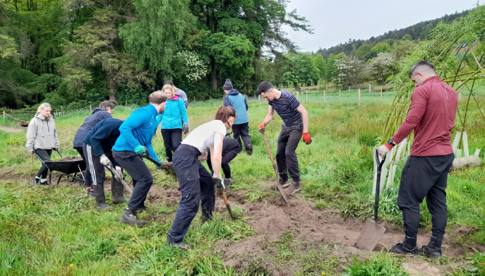 a group of adults digging outdoors